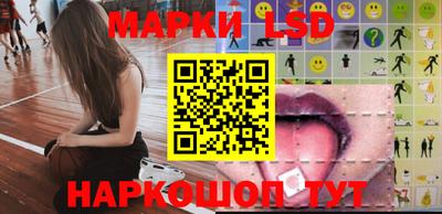 индика Можайск
